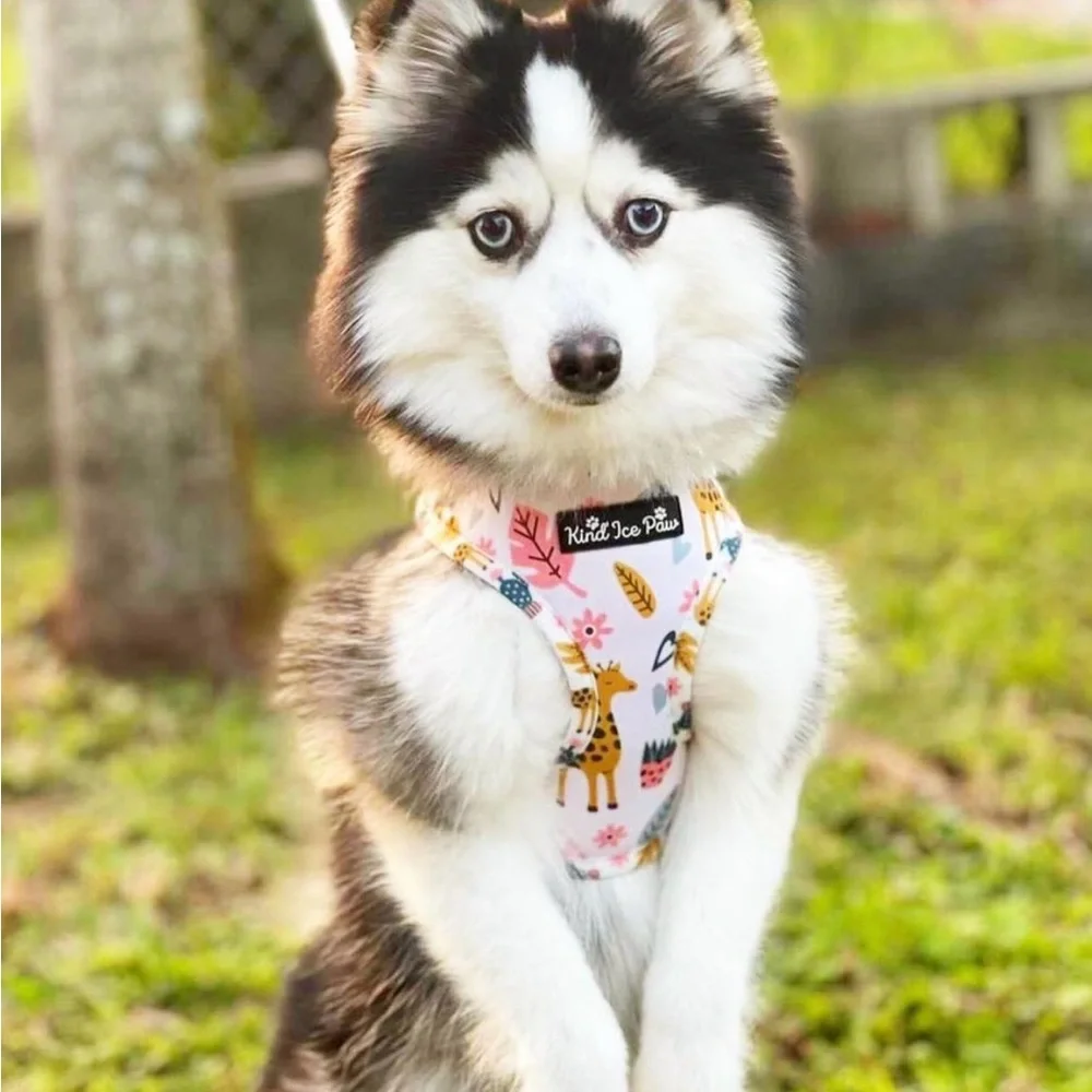 Brand New - Jungle Safari Pup Dog Harness - Picture 9 of 10